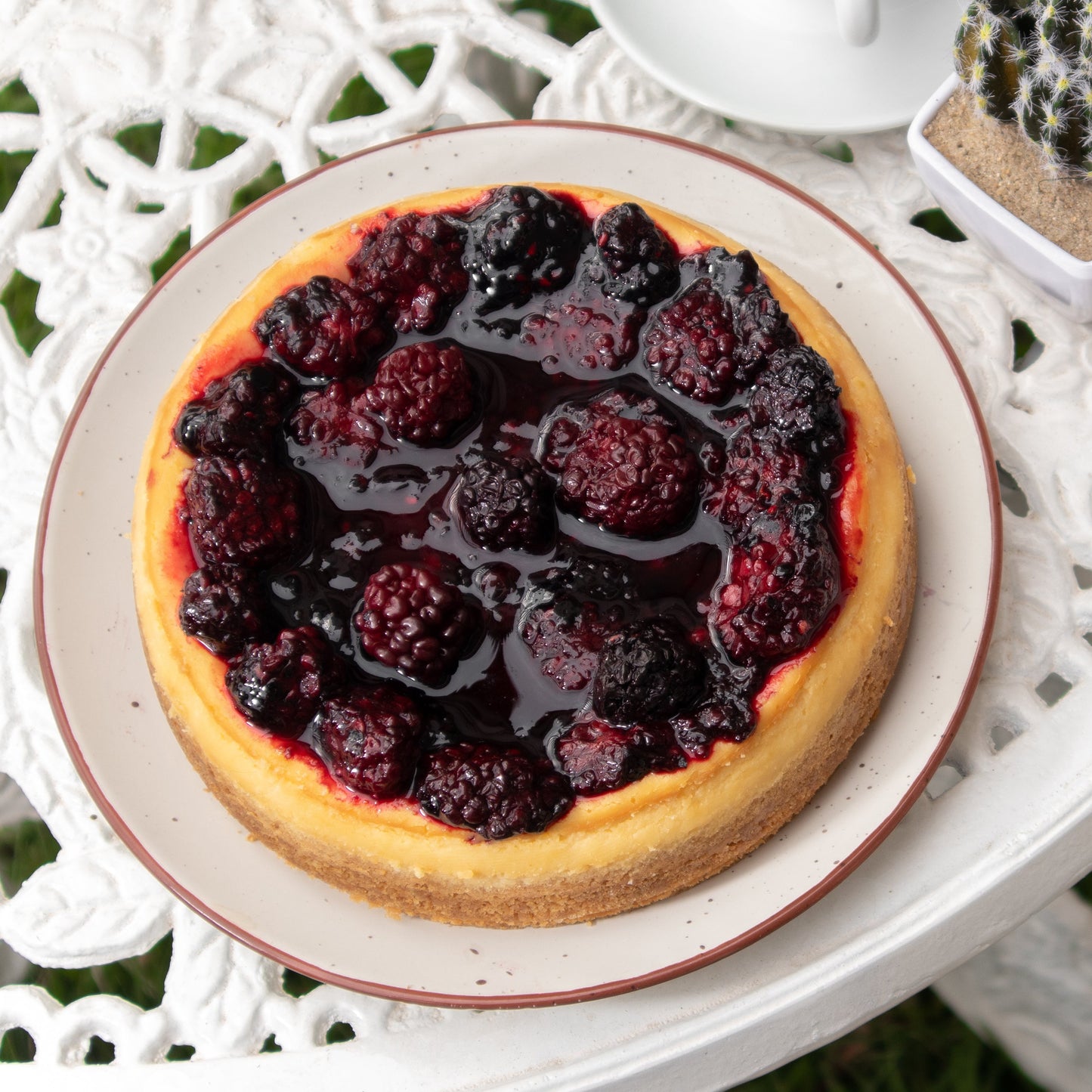 Whole Blackberry Cheesecake