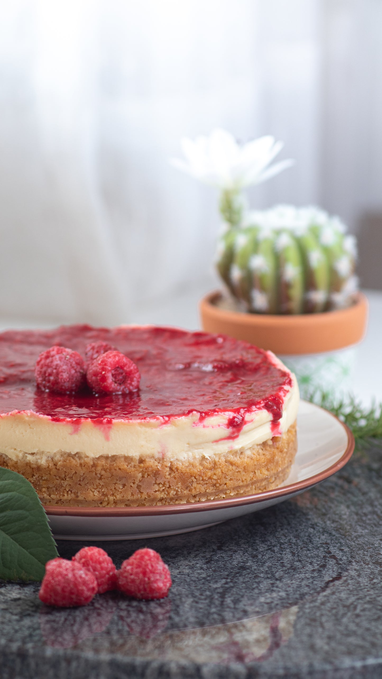 Whole Raspberry Cheesecake